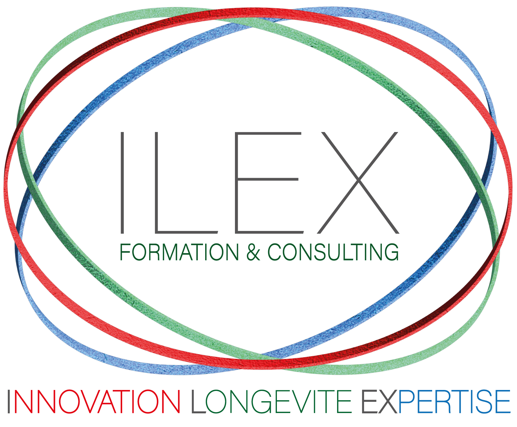 image :   ILEX Formation & Consulting  